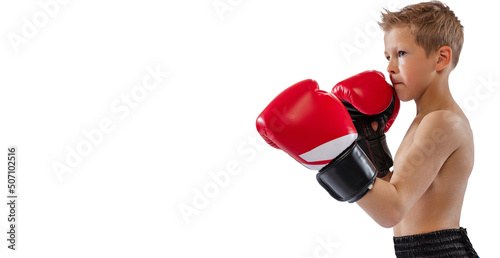 Closeup image of little male boxer in red boxing gloves posing isolated on white studio background. Concept of sport, movement, studying, achievements