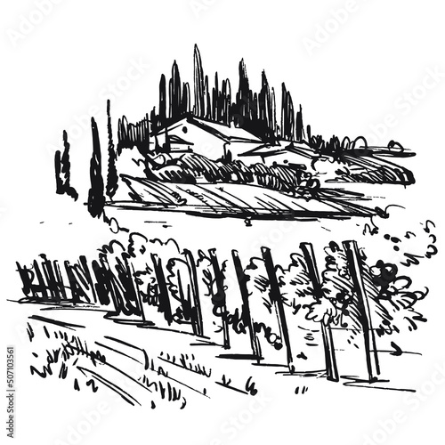 Vineyard rural landscape. Agriculture panorama view with wine  field and winery farm house on a background. Black and white hand drawn doodle vector. 
