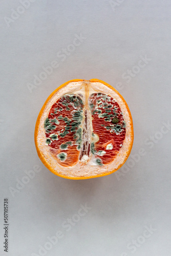 The concept of vaginal disease: venereal diseases, Vaginal yeast infection, Syphilis. Orange with mold on gray background photo