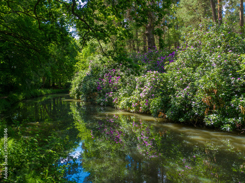 Basingstoke Canal North Hampshire photo