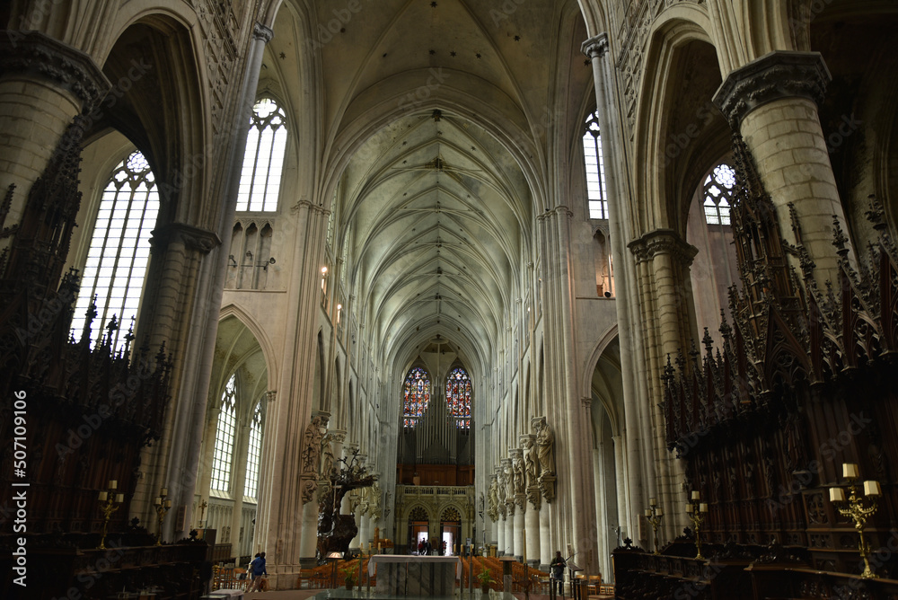 Nef de la cathédrale de Malines. Belgique