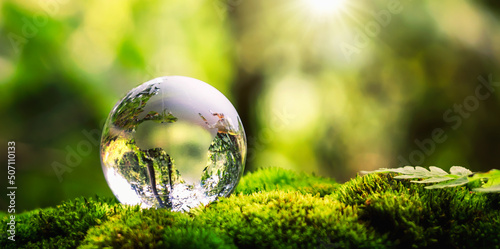 Fototapeta Naklejka Na Ścianę i Meble -  globe glass on grass with sunshine. environment concept