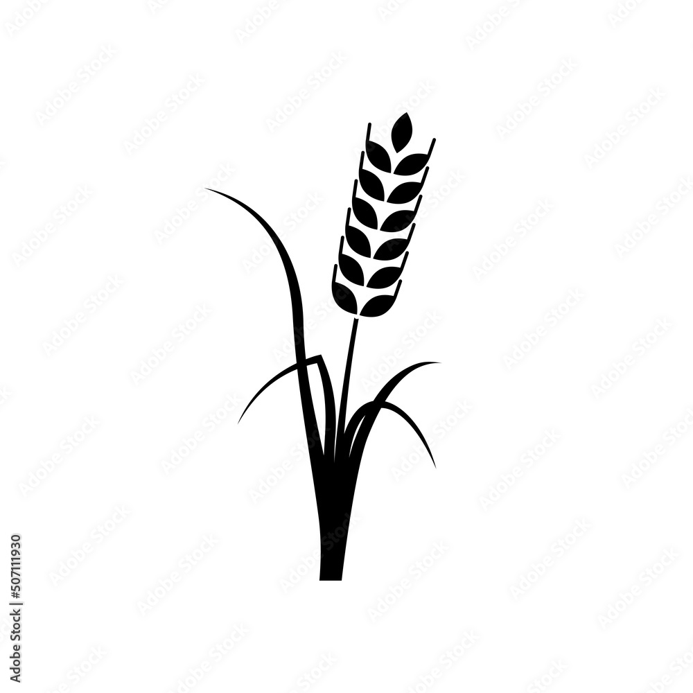 Cereal ear and spike icon isolated on white background Cereal ear and spike icon isolated on white background