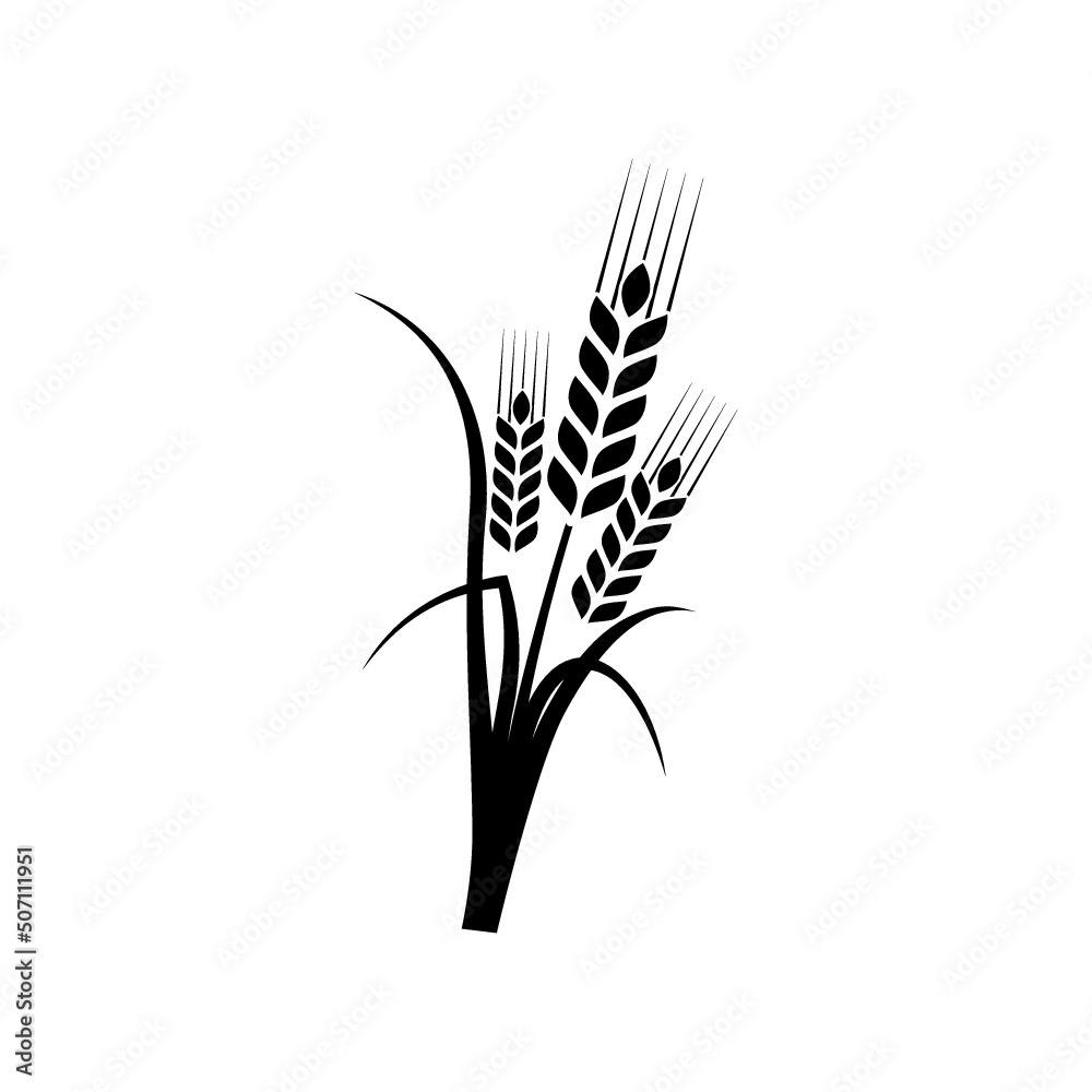 Fototapeta premium Cereal ear and spike icon isolated on white background