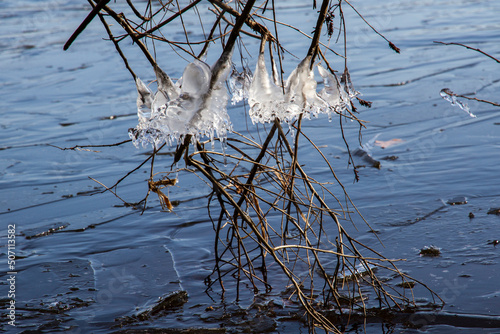 Iciles hanging on tries above the water
 photo