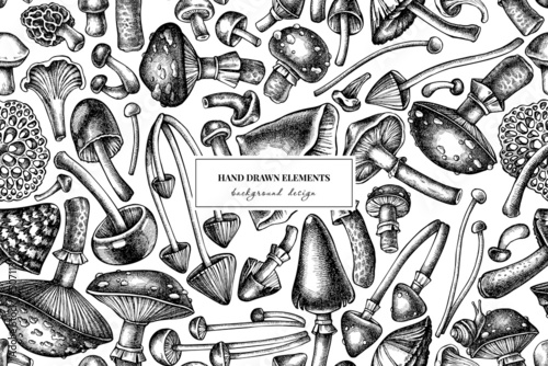 Forest mushrooms seamless pattern background design. Engraved style. Hand drawn mushrooms, fly agaric, blewit, etc.