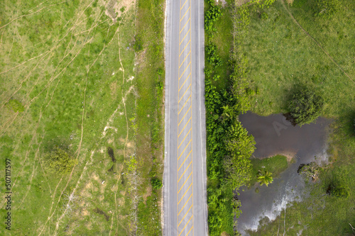 Asphalt highway through green tropical field. Aerial view