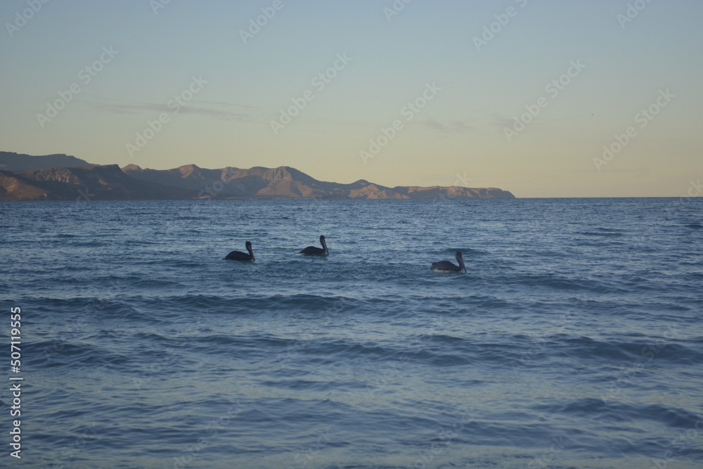 Obraz premium sunset in the sea