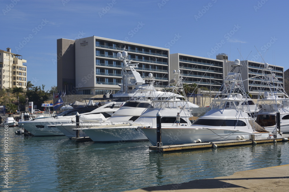 boats in marina