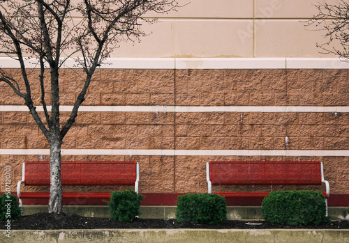 Wallpaper Mural Benches and tree Torontodigital.ca