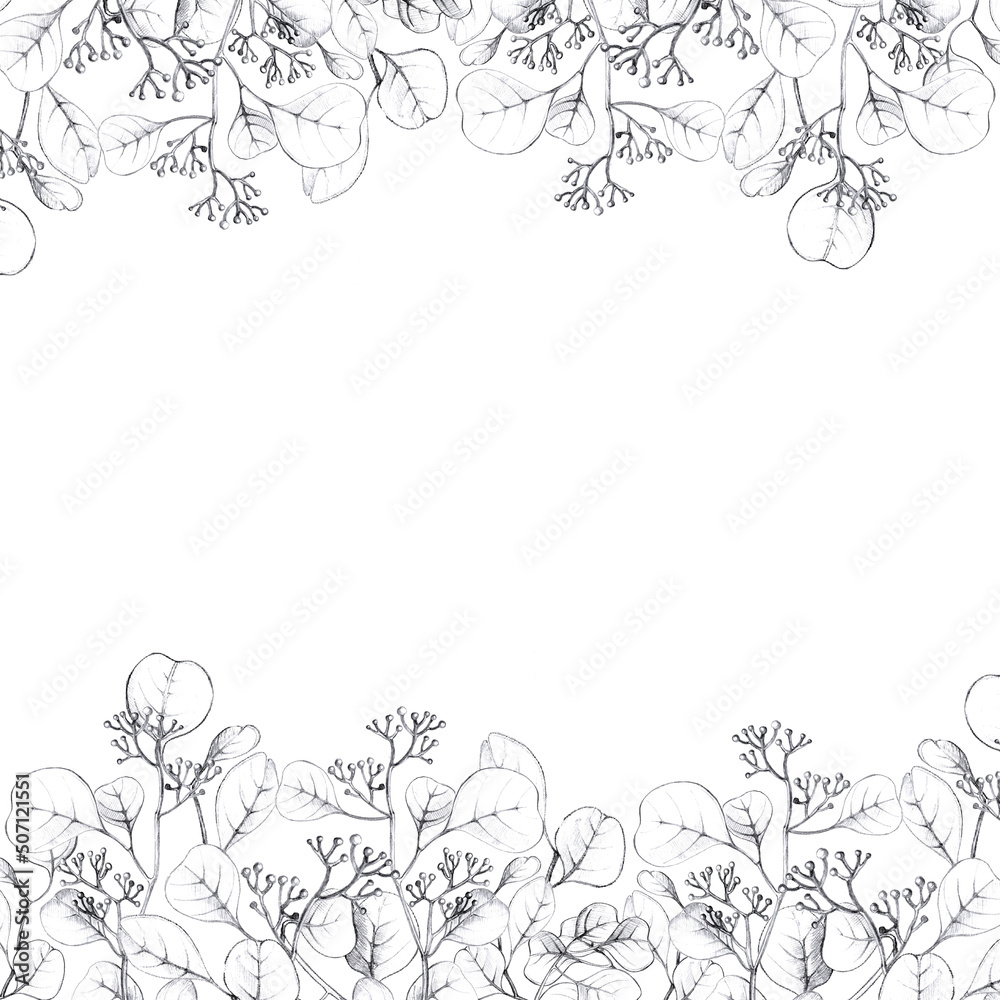 Yand drawing Flower border. Floral horizontal banner with spring and summer blooming herbs.