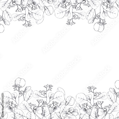 Yand drawing Flower border. Floral horizontal banner with spring and summer blooming herbs.