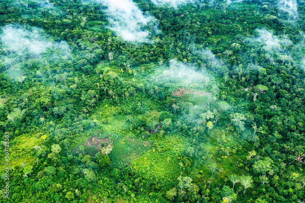 Amazon Rainforest Aerial View. Tropical Green Jungle in Peru, South America. Bird's-eye view. Amazon Rainforest Aerial View. Tropical Green Jungle in Peru, South America. Bird's-eye view.