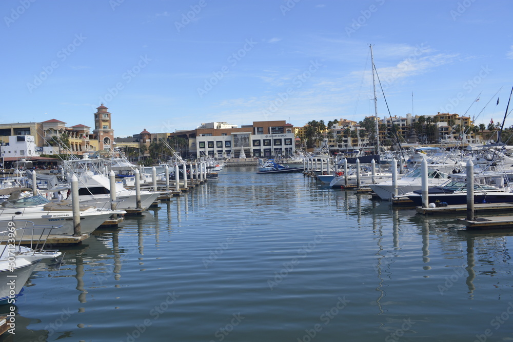 boats in marina