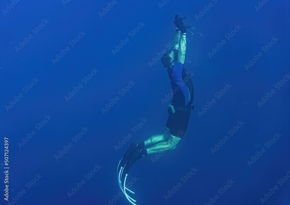 Free diver. Red Sea, Sharm-El Sheikh, Egypt.