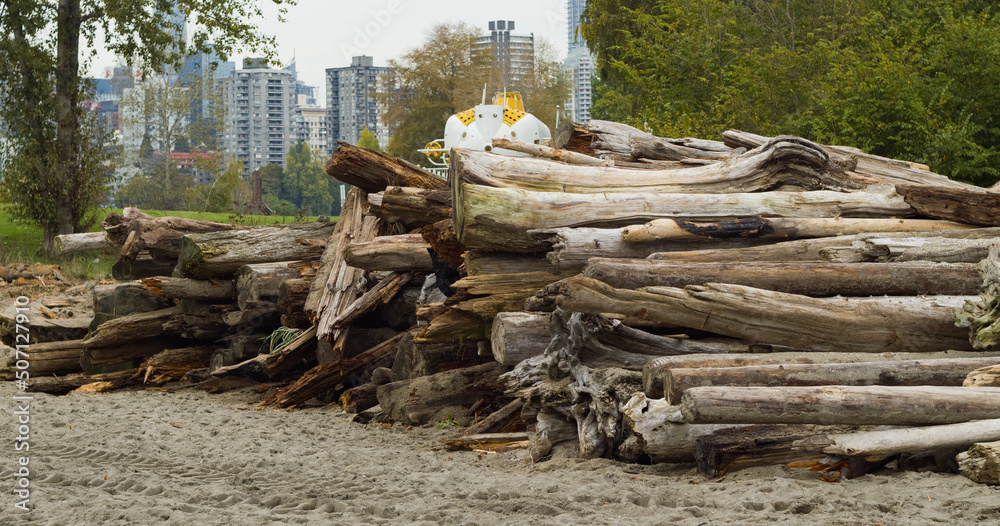 side view of Piles of logs on the beach, vancouver canada side view of Piles of logs on the beach, vancouver canada