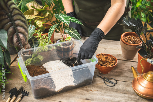 Mixing soil for seedlings potting at the nursery photo