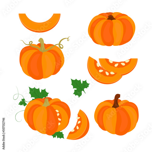 Pumpkin. Vegetable. Color vector set