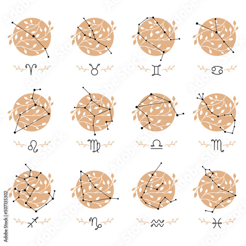 Set of constellations and zodiac signs, floral elements.
