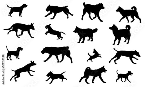 Group of dogs various breed. Black dog silhouette. Running, standing, walking, jumping dogs. Isolated on a white background. Pet animals. © tikhomirovsergey
