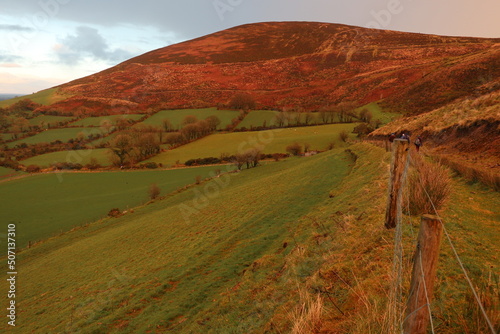 Claragh Mountain - Clara - Millstreet - Cork - Ireland photo