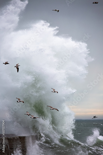 vague sur digue