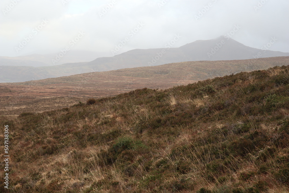 Obraz premium Mangerton Walk - Killarney - Kerry - Ireland