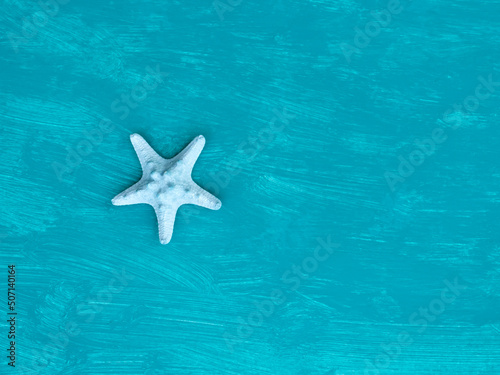 Flat lay dry blue starfish on aquamarine background