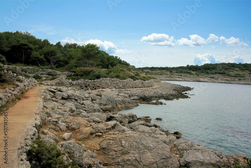 coastline near Veli Losinj  island Losinj  Croatia