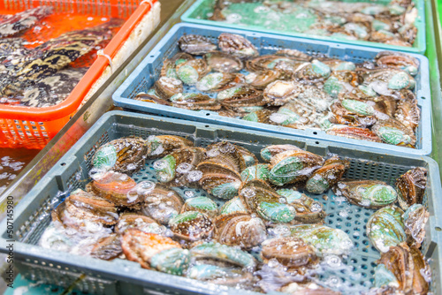 Fresh raw abalone selling in wet market photo