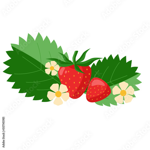 Fototapeta Naklejka Na Ścianę i Meble -  Red strawberry with leaves and flowers. Vector illustration of a berry on a white background.