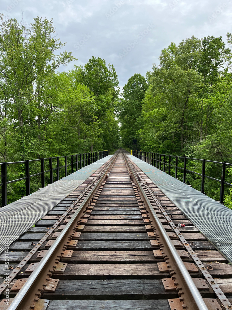 Railroad trestle tracks into vanishing point with green trees in New Jersey