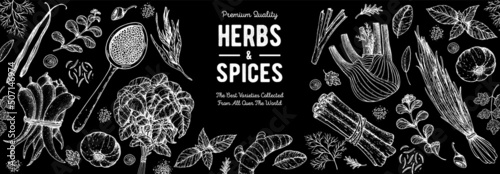 Herbs and spices hand drawn vector illustration. Aromatic plants. Hand drawn food sketch. Vintage illustration. Card design. Sketch style. Spice and herbs black and white design.