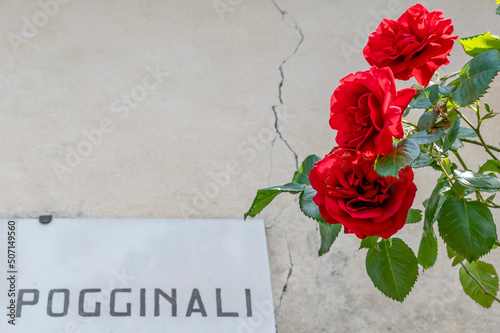 Three beautiful red roses with in the background a wall with a crack and the Pogginali street plate, Carmignano, Prato, Italy photo