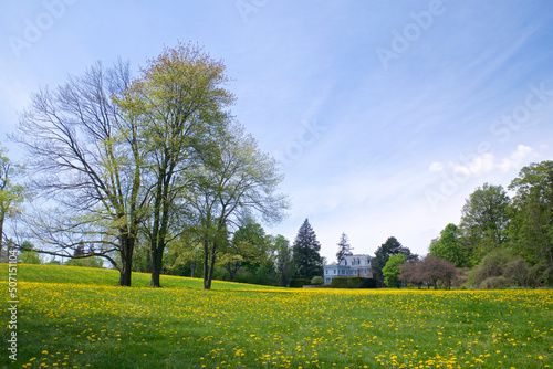 Photography Wide angle view of the backyard of a mansion in springtime