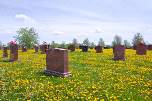 Photography View of the cemetery with dandelions and green lawn in springtime