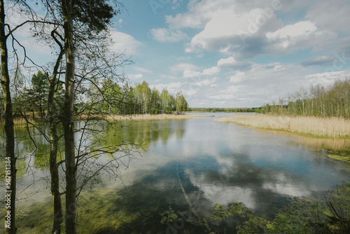 forest surrounds the lake, clouds are reflected in the water, sunny summer day, Russia