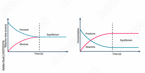 Murais de parede dynamic equilibrium chemistry graph vector illustration