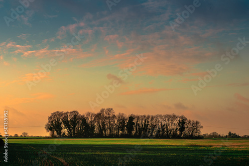 sunrise over the forest