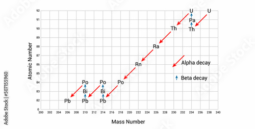Uranium-238 undergoes 14 different radioactive decay processes before forming stable lead-206. Uranium-238 decay series