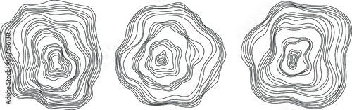 Abstract tree rings. Vector topographic map concept. Seamless background. Thin black lines on white