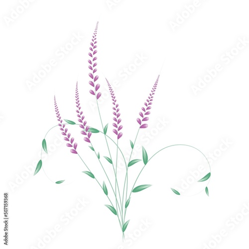 Bouquet of wild flowers isolated on a white background. Vector graphics. EPS 10.