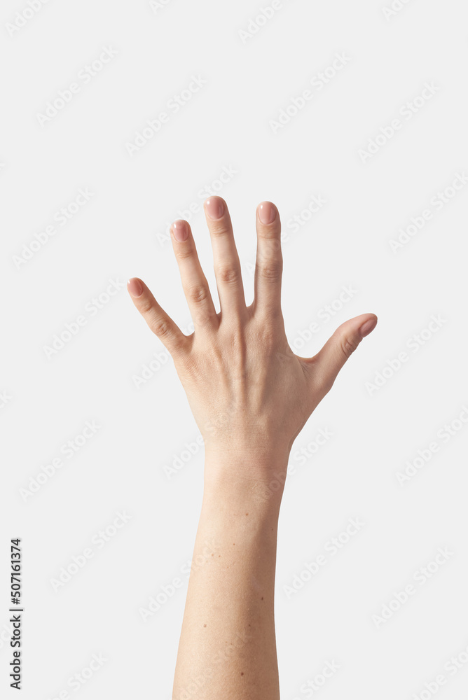 Obraz premium Outer hand counting on fingers, five.
