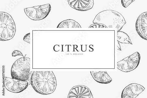 Card with citrus - orange, lemon. Vector illustration