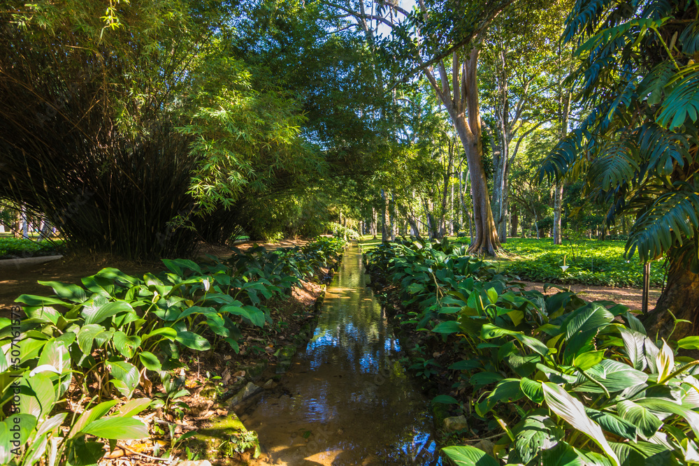 Fototapeta premium Beautiful view of Rio de Janeiro botanical garden