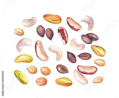 Set of watercolor nuts and seeds isolated on white background. Cashew, pecan, pistachios, peanut, pumpkin seeds.