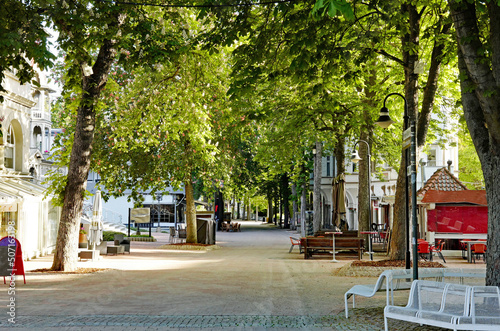 Bad Harzburg Bummelallee unter blühenden Kastanien