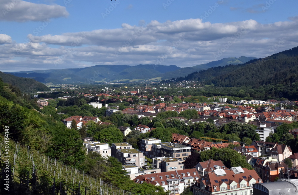 Freiburg im Frühling zwischen grünen Bergen