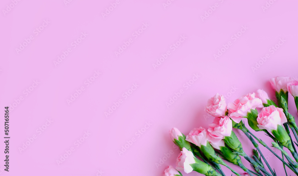 Flowers composition. Pink flowers on soft pink background. Spring, summer concept. Flat lay, top view, copy space Flowers composition. Pink flowers on soft pink background. Spring, summer concept. Flat lay, top view, copy space