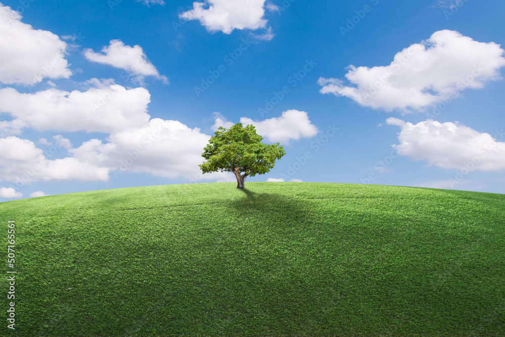 Fototapeta premium green field and blue sky with light clouds,Image of green grass field and bright blue sky. Plain landscape background for summer poster. The best view for holiday.